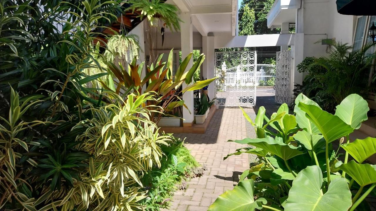 Surokarsan 9 House Yogyakarta Hotell Exteriör bild